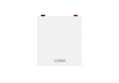 Dyness 4.8 kWh Lithium Ion Battery